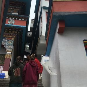 Meet your Posher, Maria